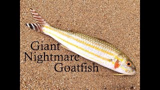 FishGPT