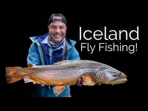 What is the best fishing spot in Iceland?