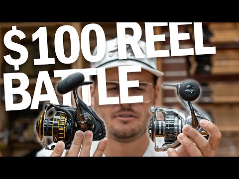 Can you help me find a reel?