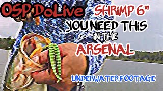 Can you help me create a Dolive-style shrimp lure?