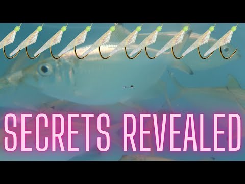 Can a sabiki rig be used with an egg sinker?