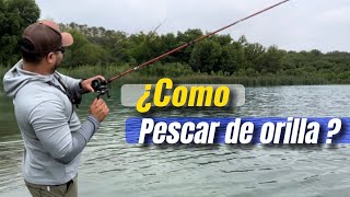 ¿La pregunta está en español?
