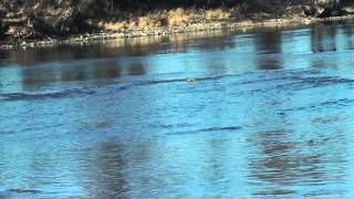 What are the best spots to fish in rivers for bass?