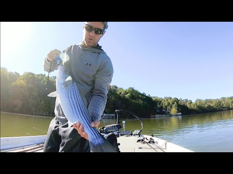 Where should I fish on Logan Martin Lake in the afternoon?