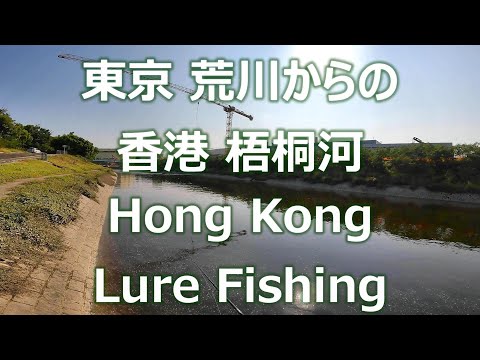 What lures should I use for fishing snakehead, catfish, and tilapia in Hong Kong?
