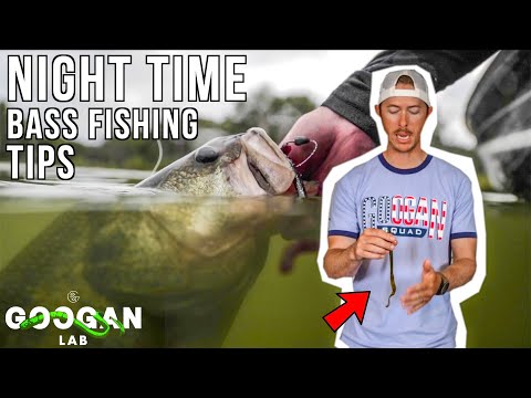 Is morning or evening better for catching the biggest bass?