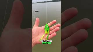 What’s the best bait to use in New Jersey freshwater lakes?