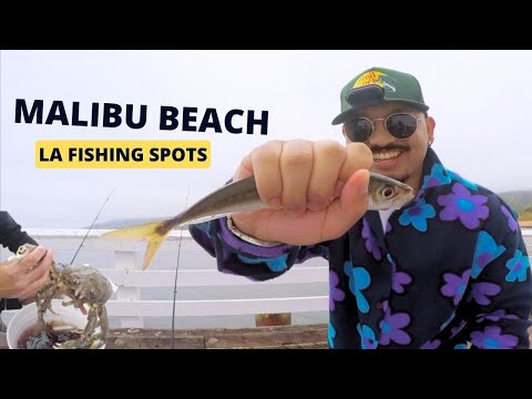 Where are good places to catch bass in Los Angeles?