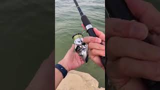 What length, action, and power rods are popular for skish?