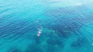 What can we catch at Spiaggia Fossa in Calabria?