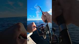 What are the best popper lures for big game fishing?