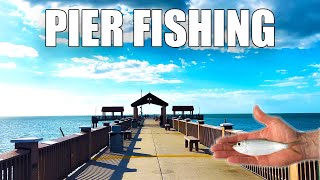 How can I be successful at pier fishing in Clearwater, Florida?