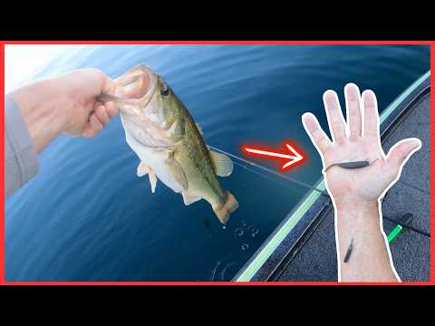 Can I tie a weight a few inches below the hook?