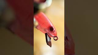What apps can I use to make custom fishing lures?