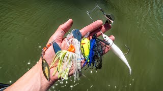 What is the best lure color for murky water?