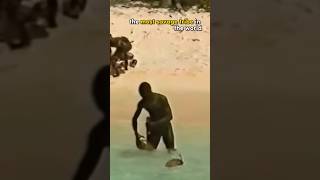 Where is it forbidden to fish in Sicily?