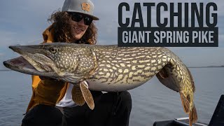 When do pike bite in Almelo and Nordhorn?