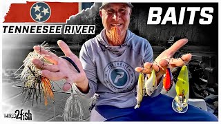 What are the best baits in West Tennessee?