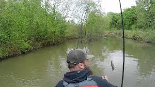 What are some good spots to fish in Obion, TN?