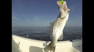 What are effective morning speckled trout tips in Cocodrie, Louisiana to fill a keeper box of 13 inches or larger?