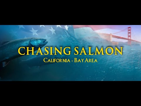 What is the best place to fish for salmon in California?
