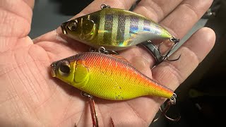 Why can't I catch bass with lipless crankbaits and crappie/bluegill soft plastics?