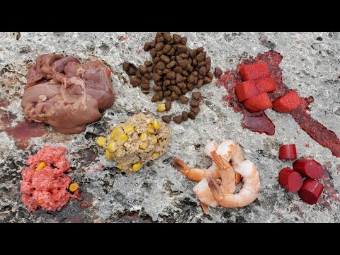 What is the best bait for catfishing in Texas?