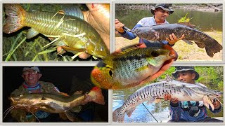 What are good bass-fishing spots in Suriname?