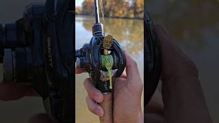 Ark gravity bfs vs slx bfs, which reel cast the furthest