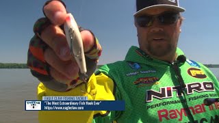 BassMooch Shaker Z Lipless Crankbait