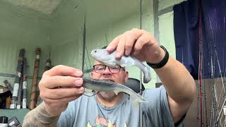 Battle shad prom queen