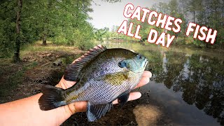 Best bait for bluegill in summer?