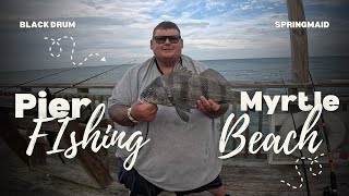 Best bait for Springmaid pier