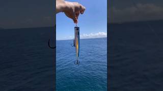 Best baits and lures to use in Hong Kong waters