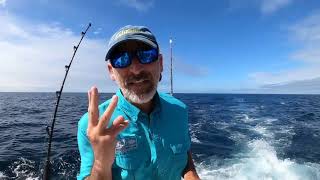 Best locations to target albacore in sicily?