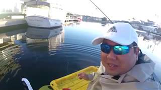 Question is best lures for spotted bay bass in Huntington harbor