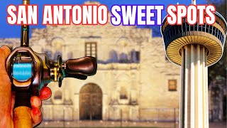 Best place to rat fish for bass in San Antonio, Texas?