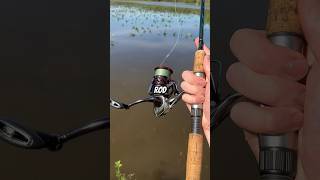 Best rods for amateur fishers