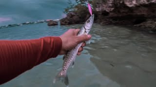 What is the best spot in the world to fish with jigs for barracuda?