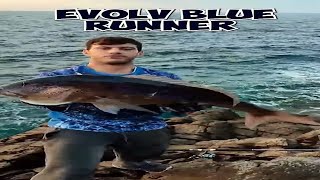 best spot shore jigging for amberjack and dentex