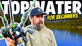 Best topwater baits