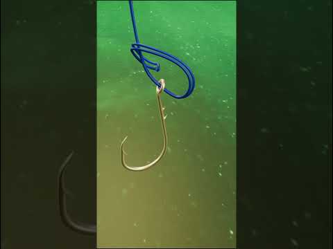What is the weather like in Kurio for fishing, and how are the fish bites?