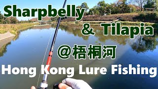 Can I use lures when fishing in Hong Kong in winter?