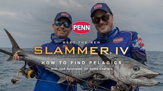 CAN we catch pelagics?