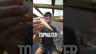 Question is can you suggest me a few topwater baits