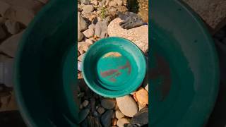 Consegues analisar imagens de sondas e explicar os fundos ?