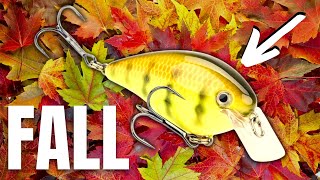 What are the best fall bass lures for North Carolina?