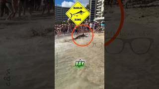 Ở dưới biển có tất cả bao nhiêu loại cá?