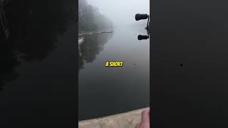 Do trout and other cold water fish bite swim baits?