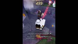 Do you know the Roblox game named Fisch?